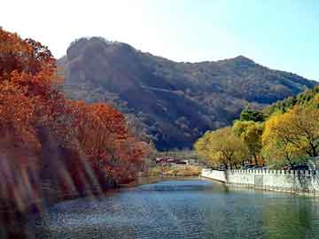 新澳与香港，资料准确公开的重要性及2005年的回顾